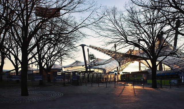 深受队友信 深受队友信