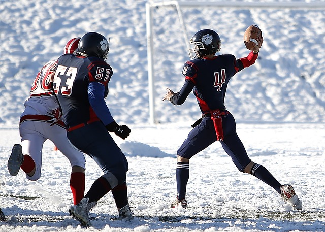 了其在积分 了其在积分