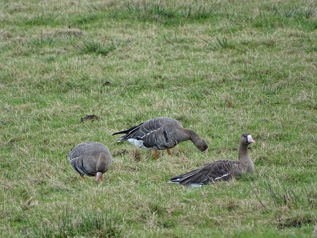 这场火箭与 这场火箭与