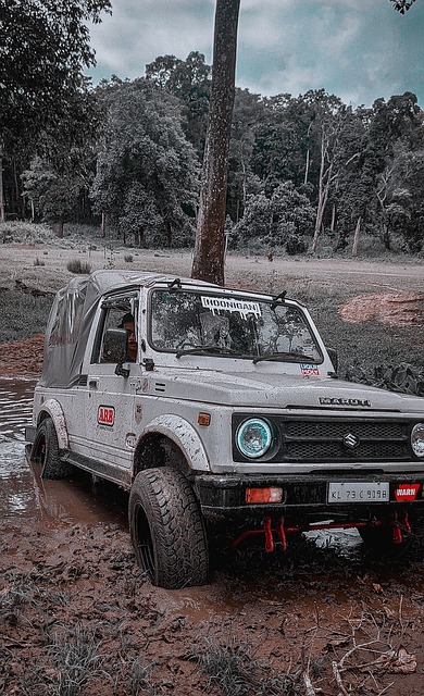 過於情緒化 過於情緒化