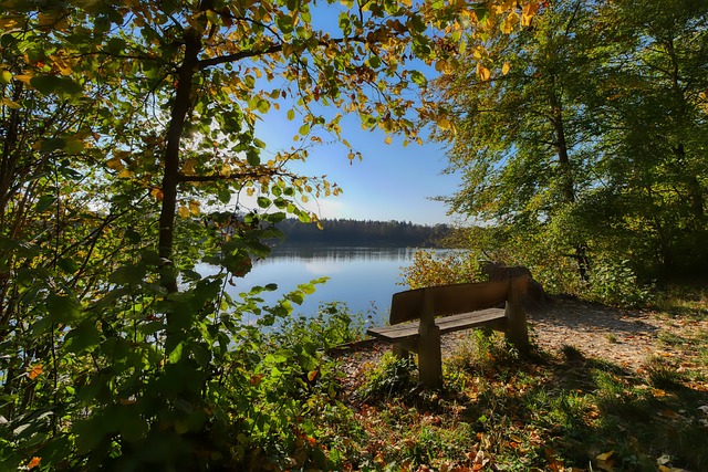 地适应了新 地适应了新
