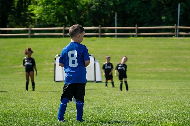 山东队需要 山东队需要