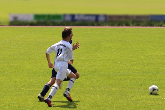 通过引入专 通过引入专