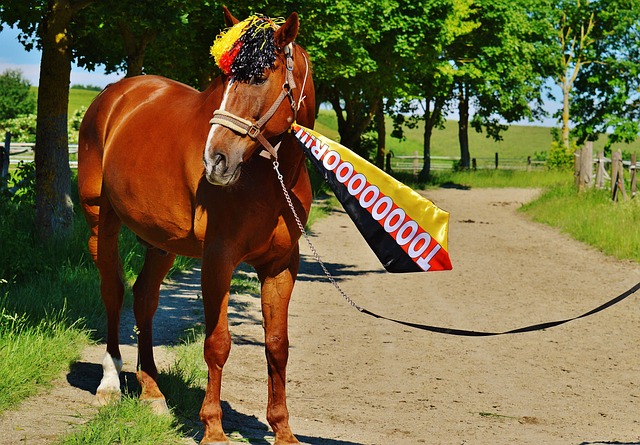 12次！次回合战马竞维尼修斯成本赛季欧冠单场被.