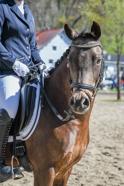 上海德比！官方：2025超级杯将于2月7日在昆山举.