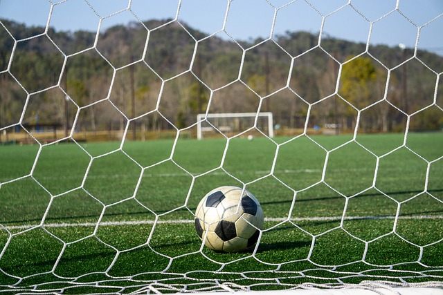 其职业生涯 其职业生涯