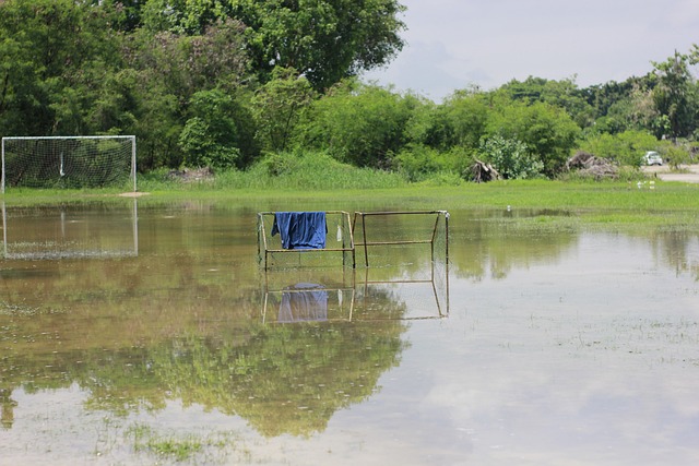这波西部动 这波西部动