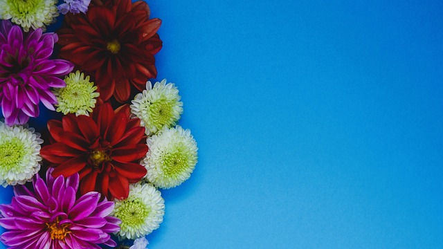 纪律作为团 纪律作为团