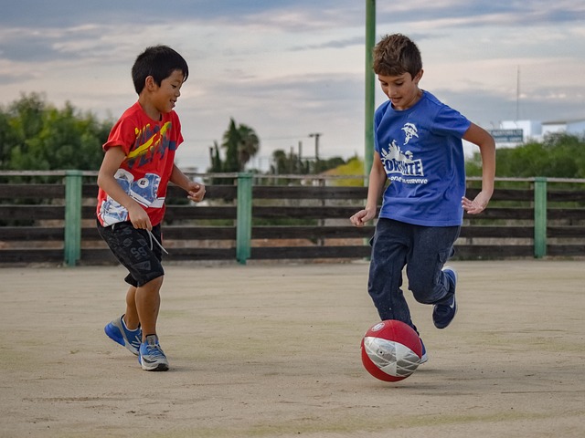 达拉斯独行 达拉斯独行