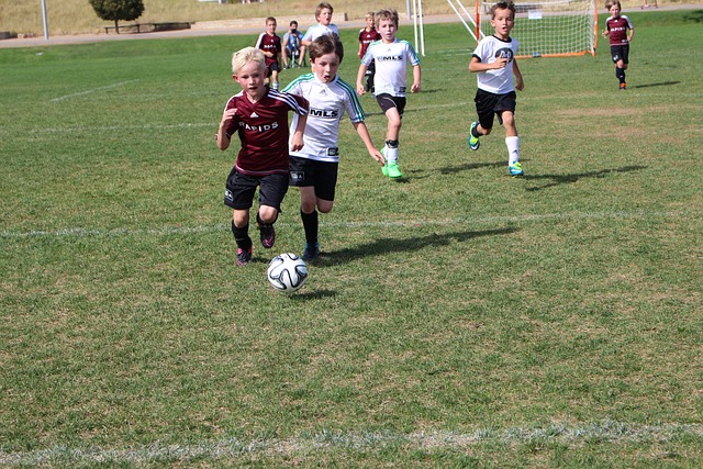 多元化的应 多元化的应