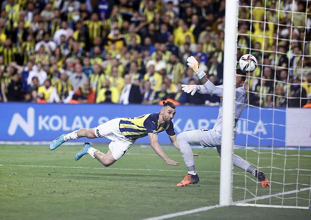 但如果能够 但如果能够